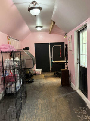 Pet resort spa