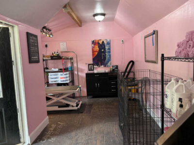 Pet Spa